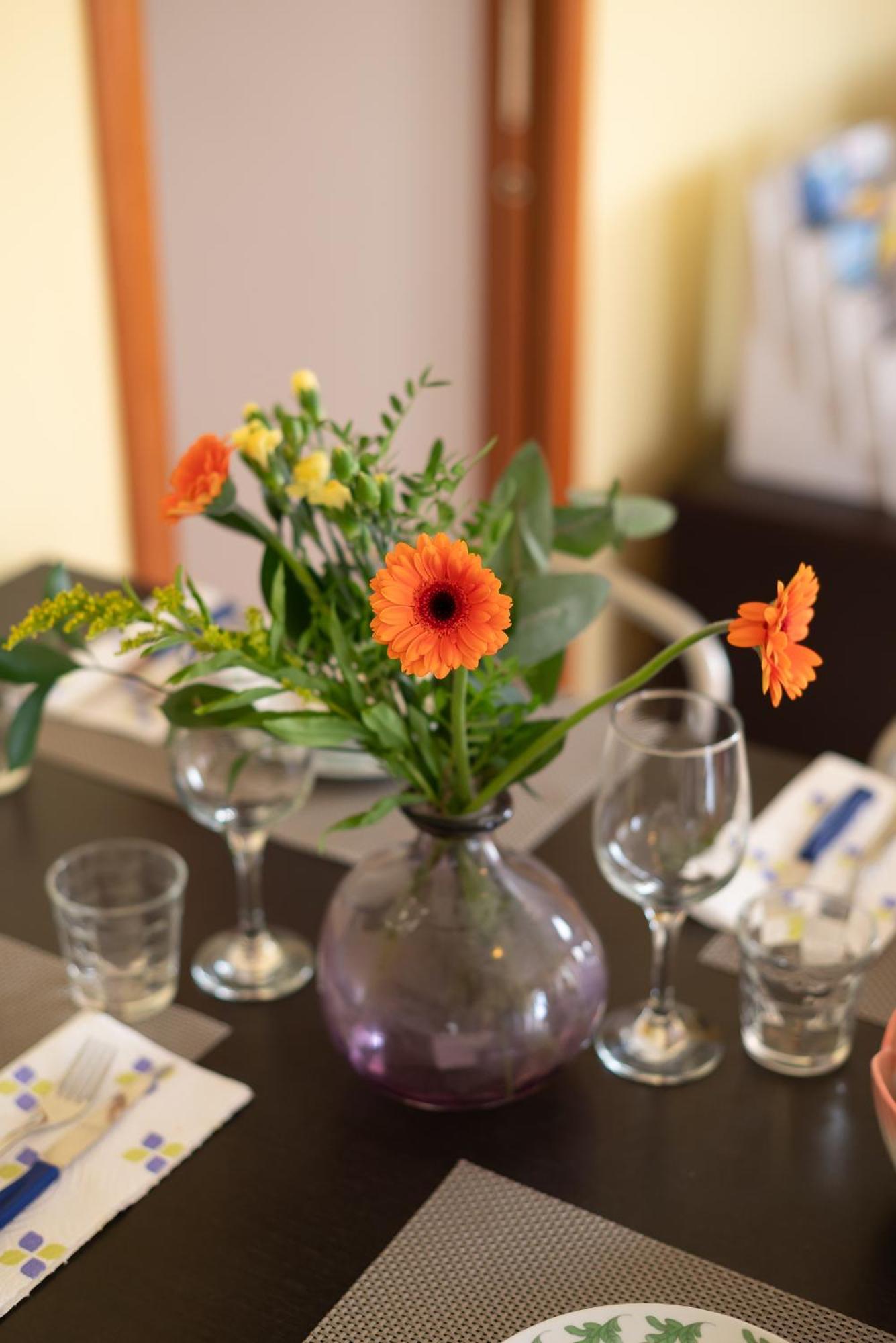 Apartament Terrazza Baciata Dal Sole Lazise Zewnętrze zdjęcie